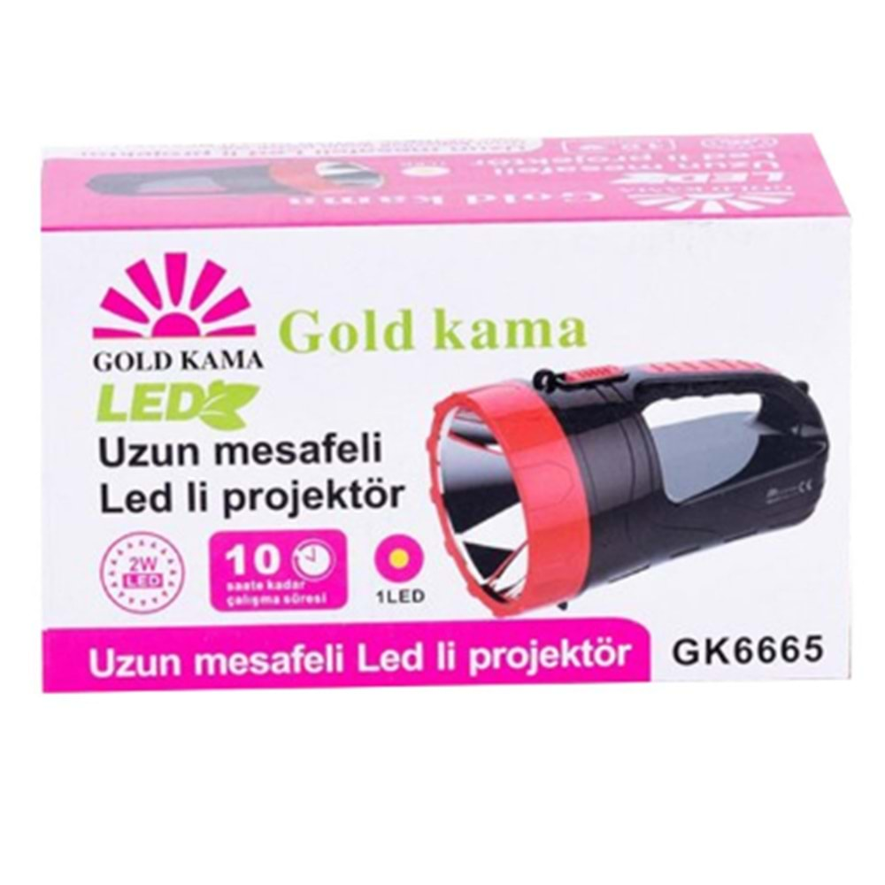 GOLD KAMA 2W LED PROJEKTÖR FENER GK6665