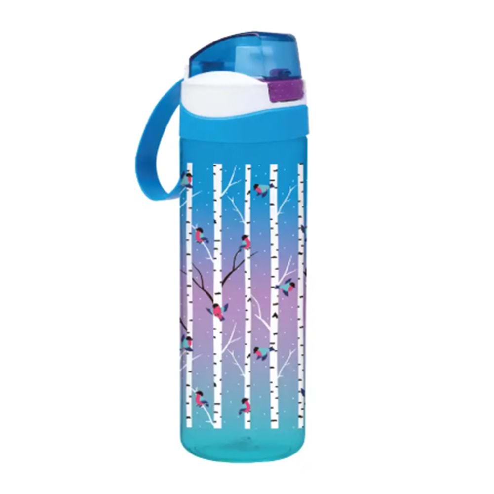 EREN DESENLİ MATARA 750 ML M&B-1009 *24