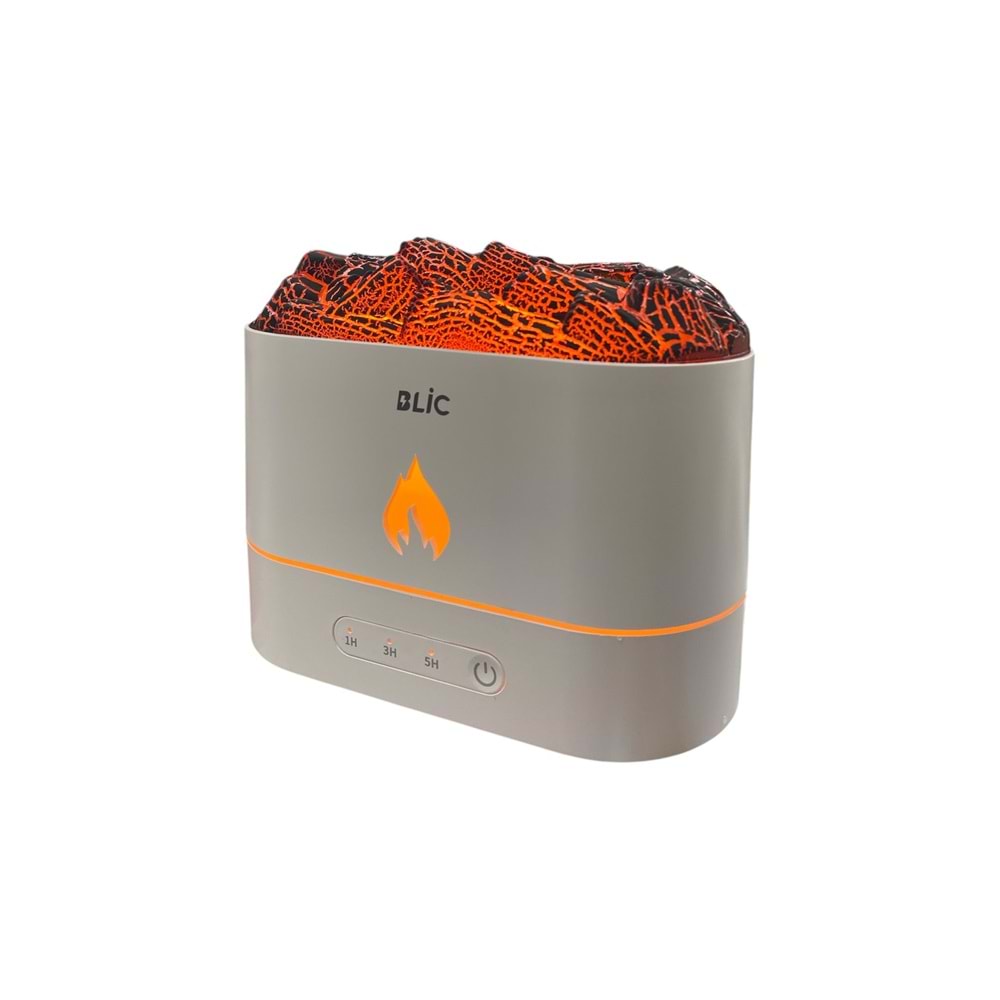 BLİC BUHAR MAKİNESİ BHW-09 *30