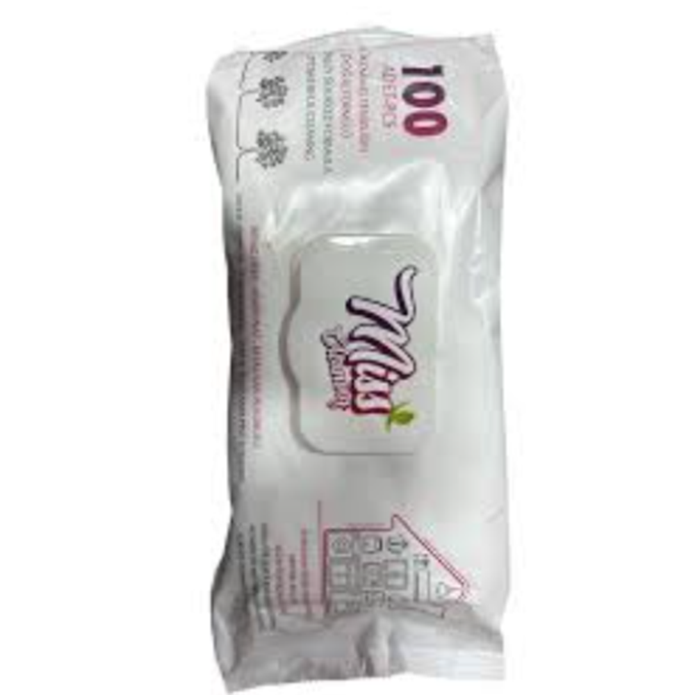 MİSS CLEANİNG TEMİZLİK HAVLUSU 9062 *12