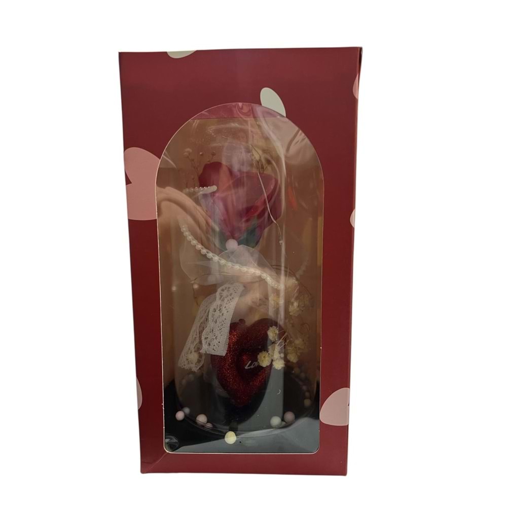 OSKR CAM FANUS 1464 *72