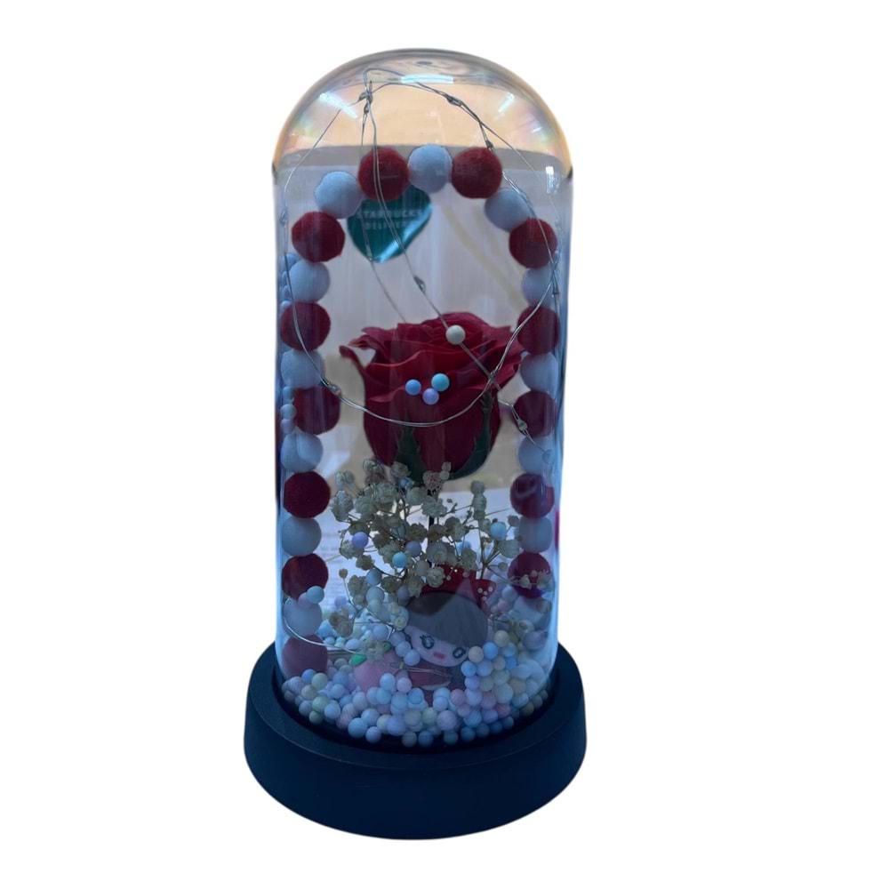 OSKR CAM FANUS SÜS 1463 *72