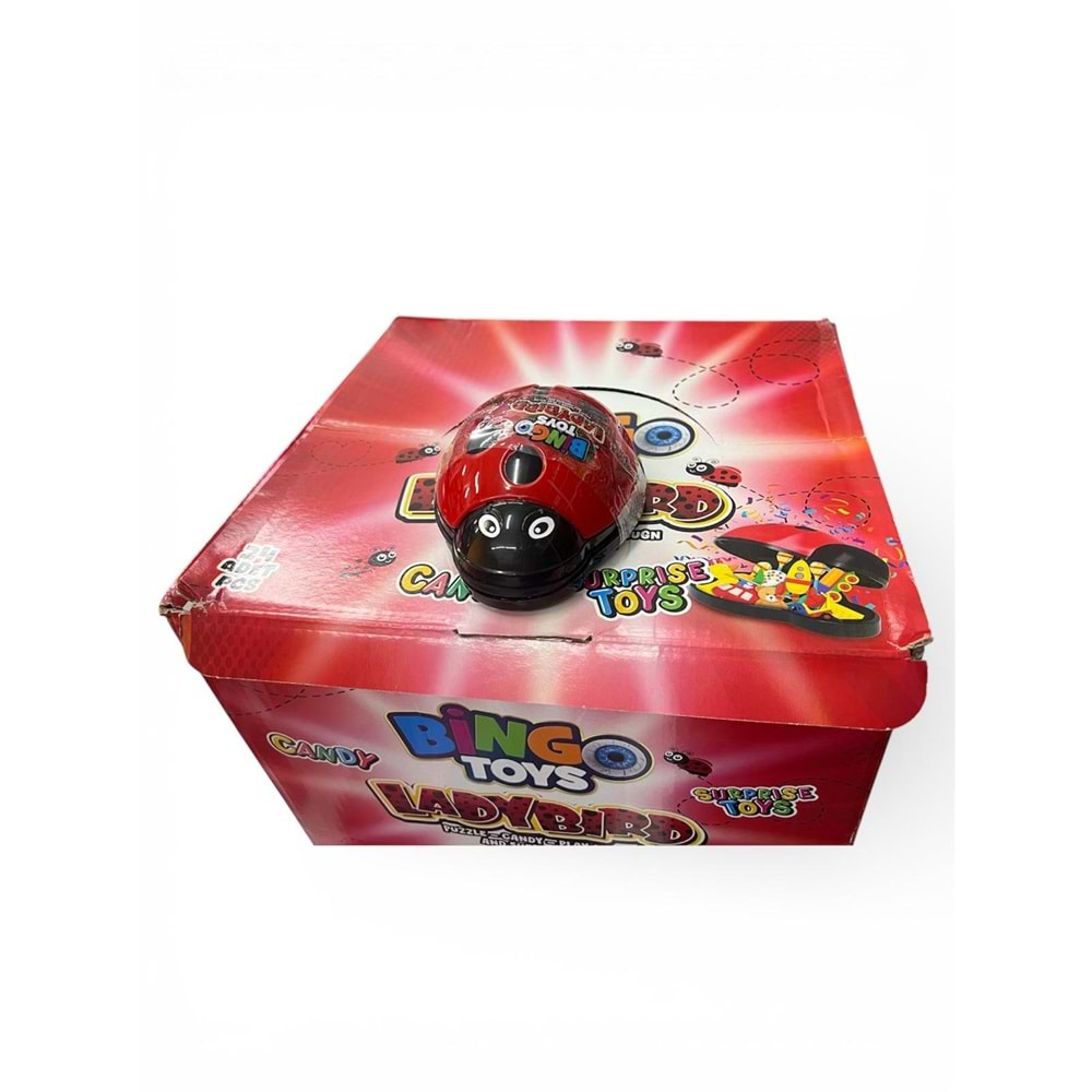 BİNGO UĞUR BÖCEĞİ PUZZLE 6007 1132 *24