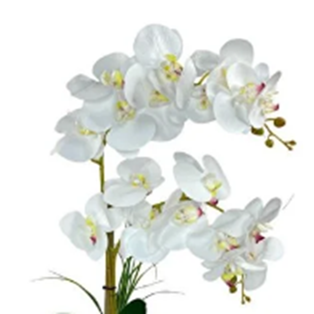 D&M ISLAK ORKİDE YSR-106