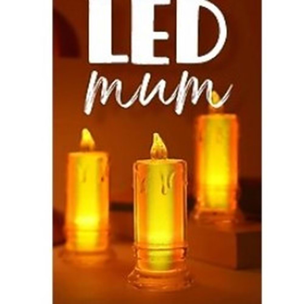YKT AYAKLI HOLOGRAM LED MUM 13642 *12