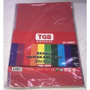 TGB A4 EVA YAPIŞKANLI 20*30 10 LU TGB-1899 *100