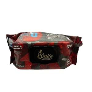 SMİLE ISLAK MENDİL 120Lİ *16