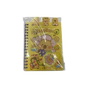 ÇINAR-603 STİCKER DEFTER 3655 *24