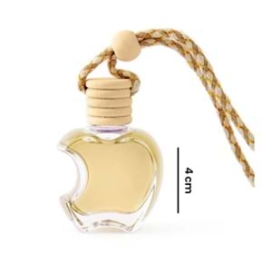 BİENBİ ARAÇ KOKUSU 8038 *48