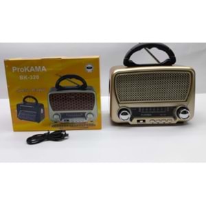 PROKAMA SOLARLI RADYO BK-301