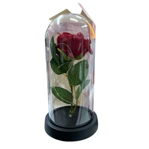 OSKR CAM FANUS GÜLLÜ 1460 *72