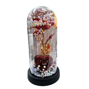 OSKR CAM FANUS KALPLİ 1461 *72