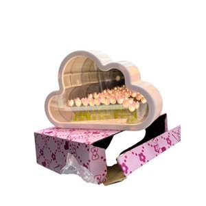 OSKR BULUTLU AYNA 1476 *60