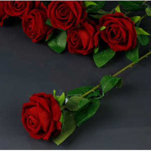 D&M SAPLI GÜL DM-692 *50