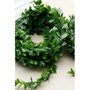 D&M TELLİ SARMAŞIK *10