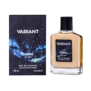 VARIANT ERKEK PARFÜM 100ML*12