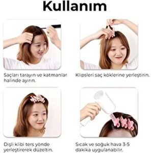 ROSE BİGUDİ HF-1 *12