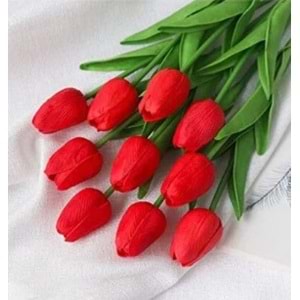 RORO 8 Lİ LALE MN-20250001 *15