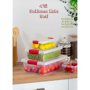 ORGANİZER SAKLAMA KABI 4LÜ ORG-466 *12