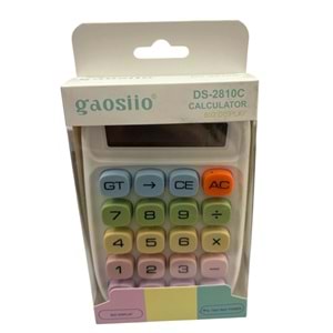 GAOSİİO HESAP MAK. DS-2810C 8109 *120