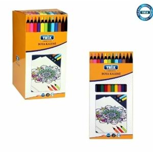 TRİX BOYAMA KALEMİ ECO T-19 *12
