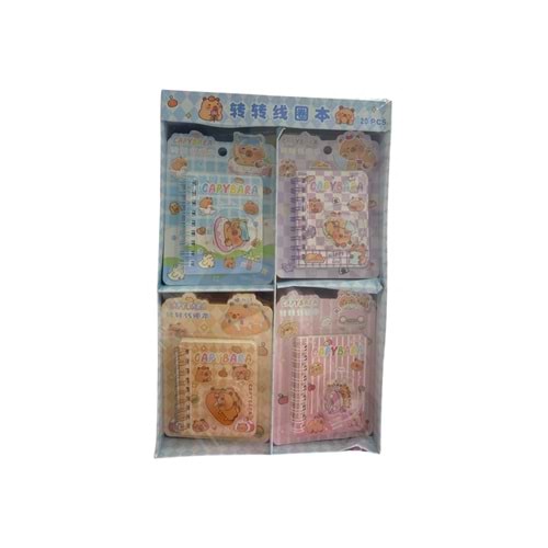 ÇINAR-316 STRES ÇARKLI NOT DEFTERİ *20