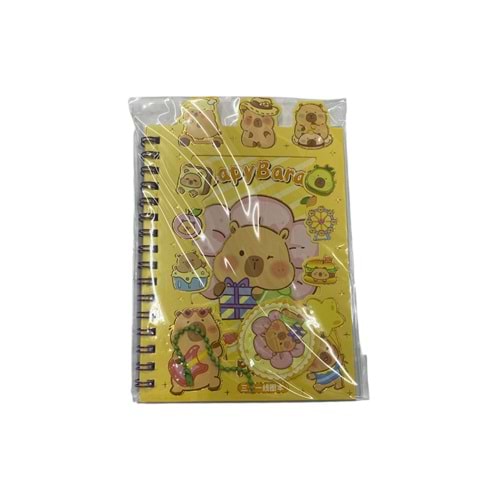 ÇINAR-603 STİCKER DEFTER 3655 *24