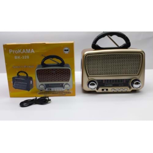 PROKAMA SOLARLI RADYO BK-301