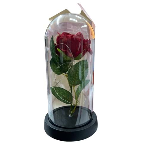 OSKR CAM FANUS GÜLLÜ 1460 *72