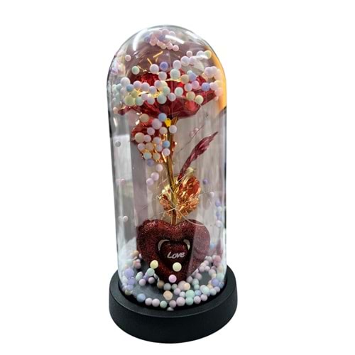 OSKR CAM FANUS KALPLİ 1461 *72