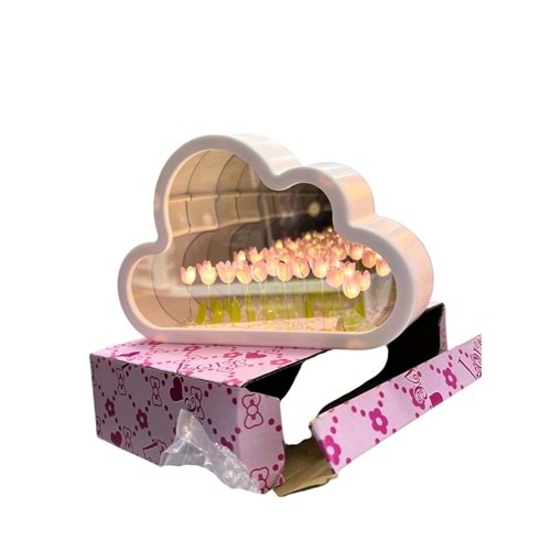 OSKR BULUTLU AYNA 1476 *60