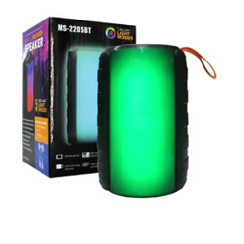 BLİC SPEAKER MS-2205