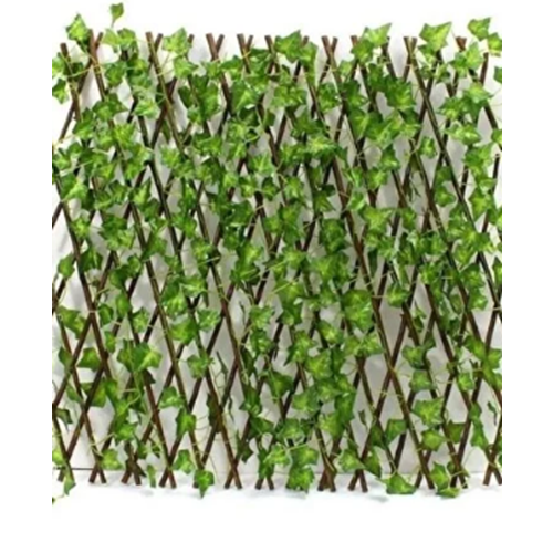 D&M YAPRAKLI ÇİT *5 *30