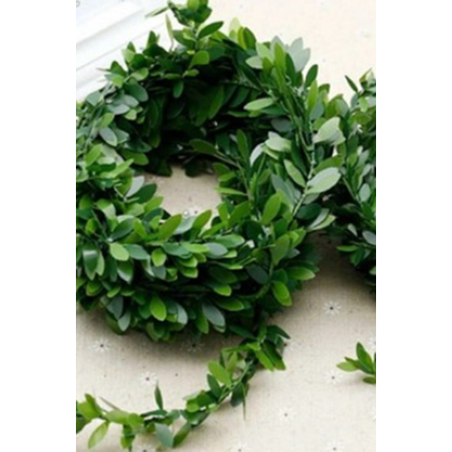 D&M TELLİ SARMAŞIK *10