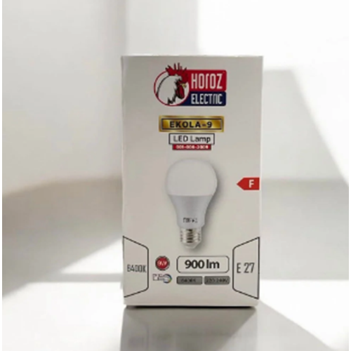 HOROZ LED AMPUL 9W EKOLA-9 9248