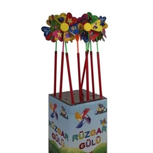 OLG RÜZGAR GÜLÜ 0862 *40