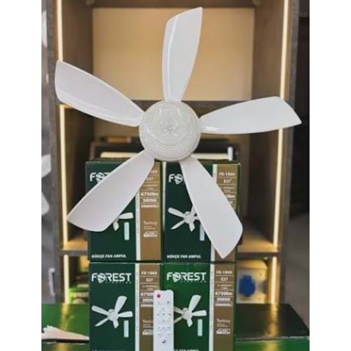FOREST PERVANE AMPUL 3RENK FR-1860 *20