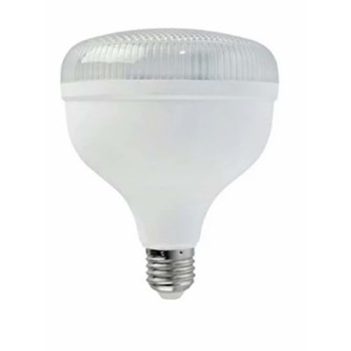HOROZ KRİSTAL LED AMPUL 30W 0428 *40