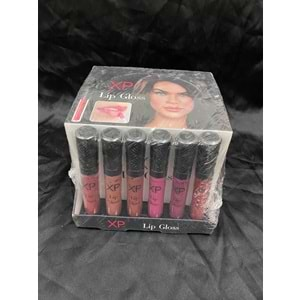 XP MATTE LIP GLOSS & LIPLINER 9650 *36